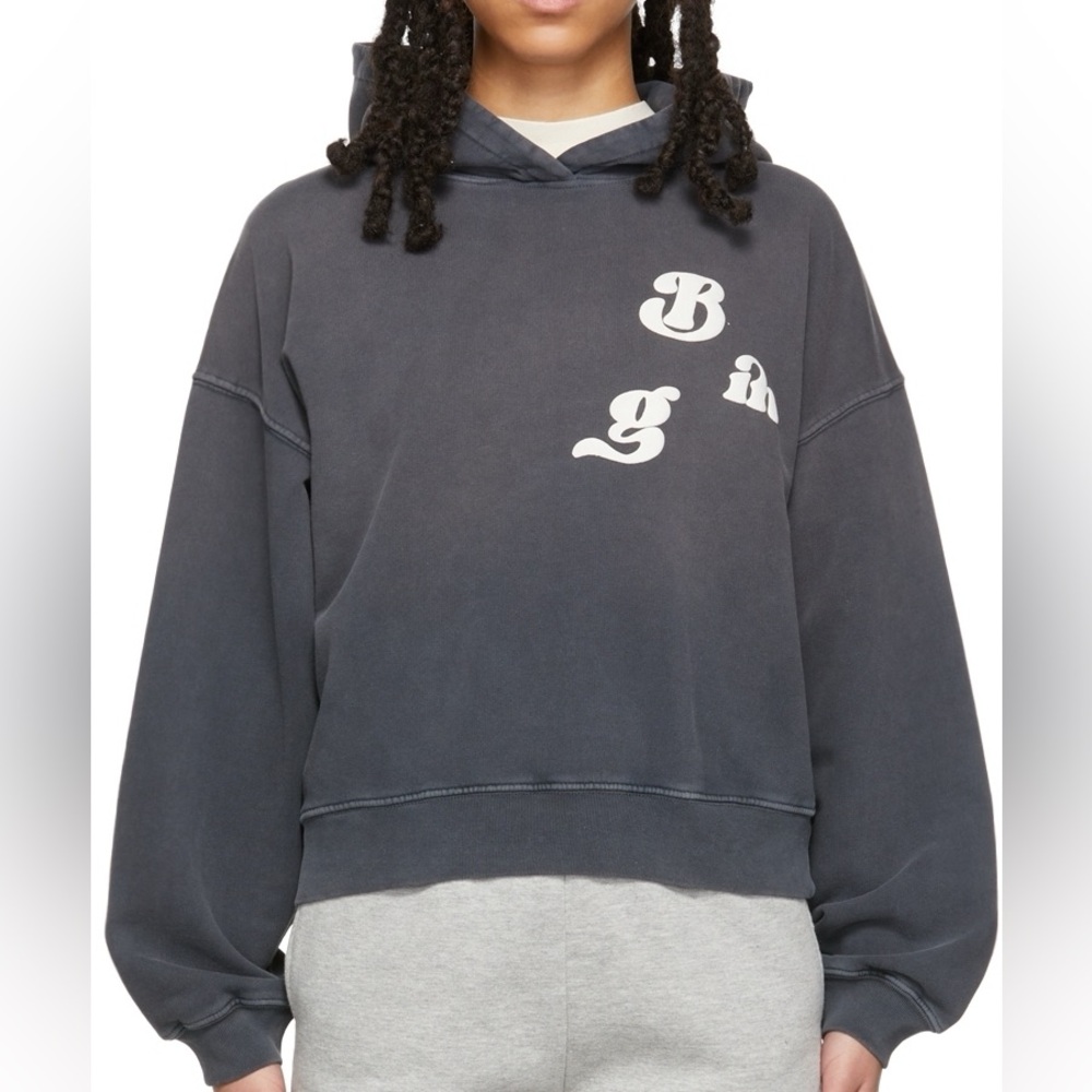 Anine Bing Gray Hoodie Sweater